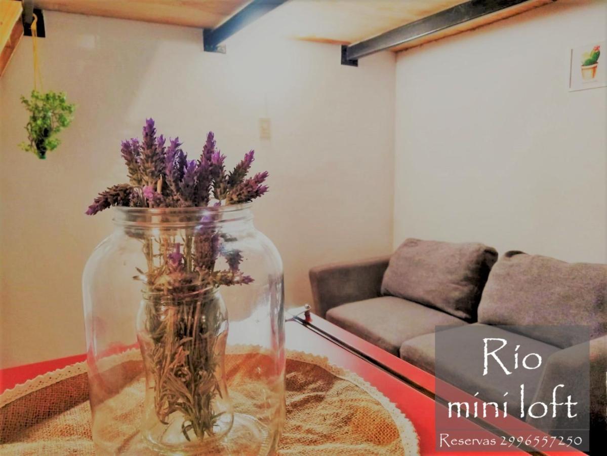 Apartment Rio Mini Loft Neuquen